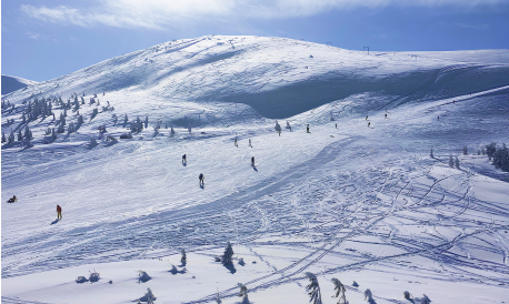 Відпочинок на лижному курорті Відпочинок на лижному курорті