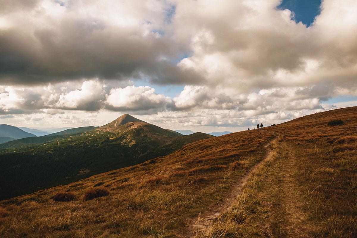 Туркул – Говерла