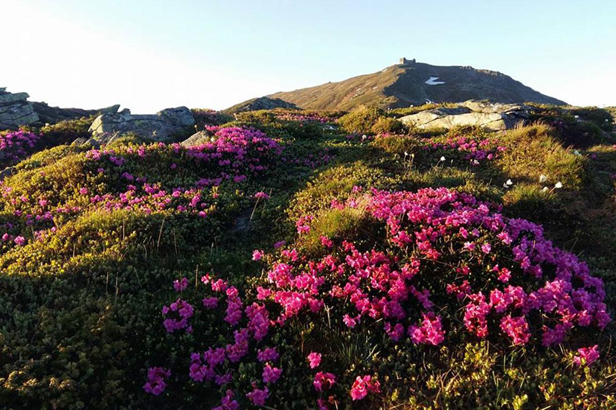 Піп-Іван Чорногірський
