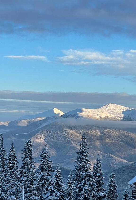 Засніжені схили гір