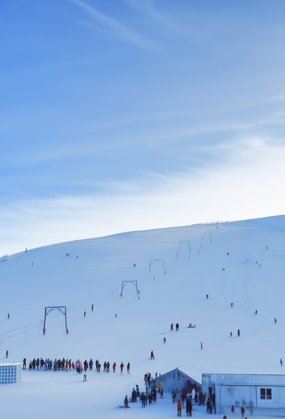 Засніжені схили гір