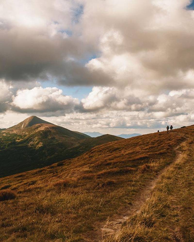 Туркул – Говерла