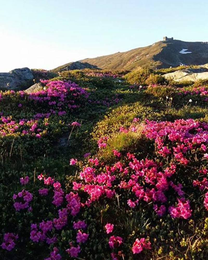 Піп-Іван Чорногірський