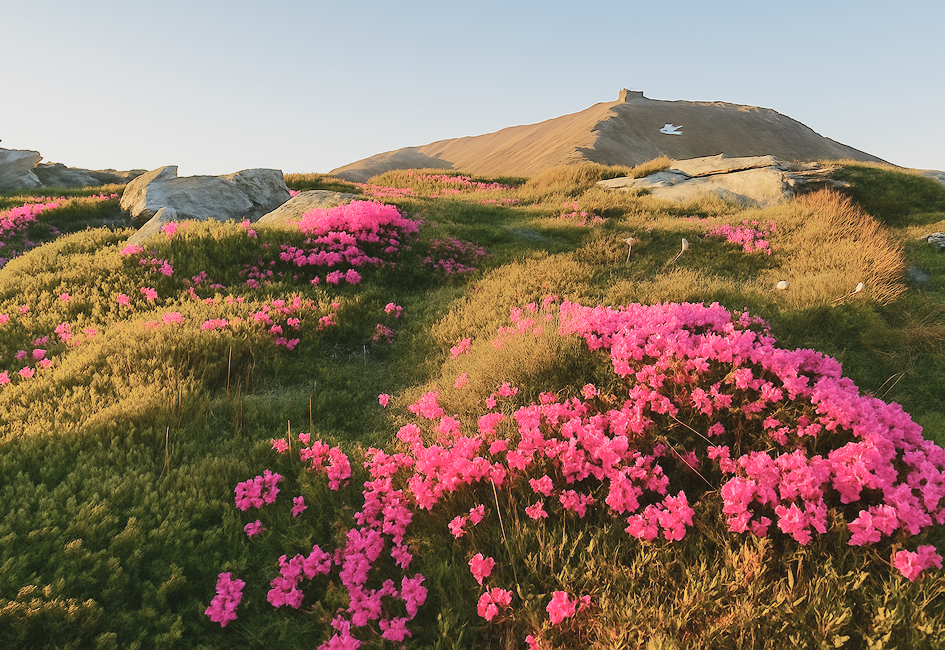 Піп-Іван Чорногірський